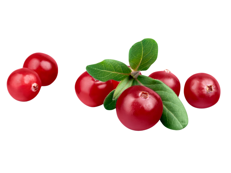 Fructe de merișor (cranberry)